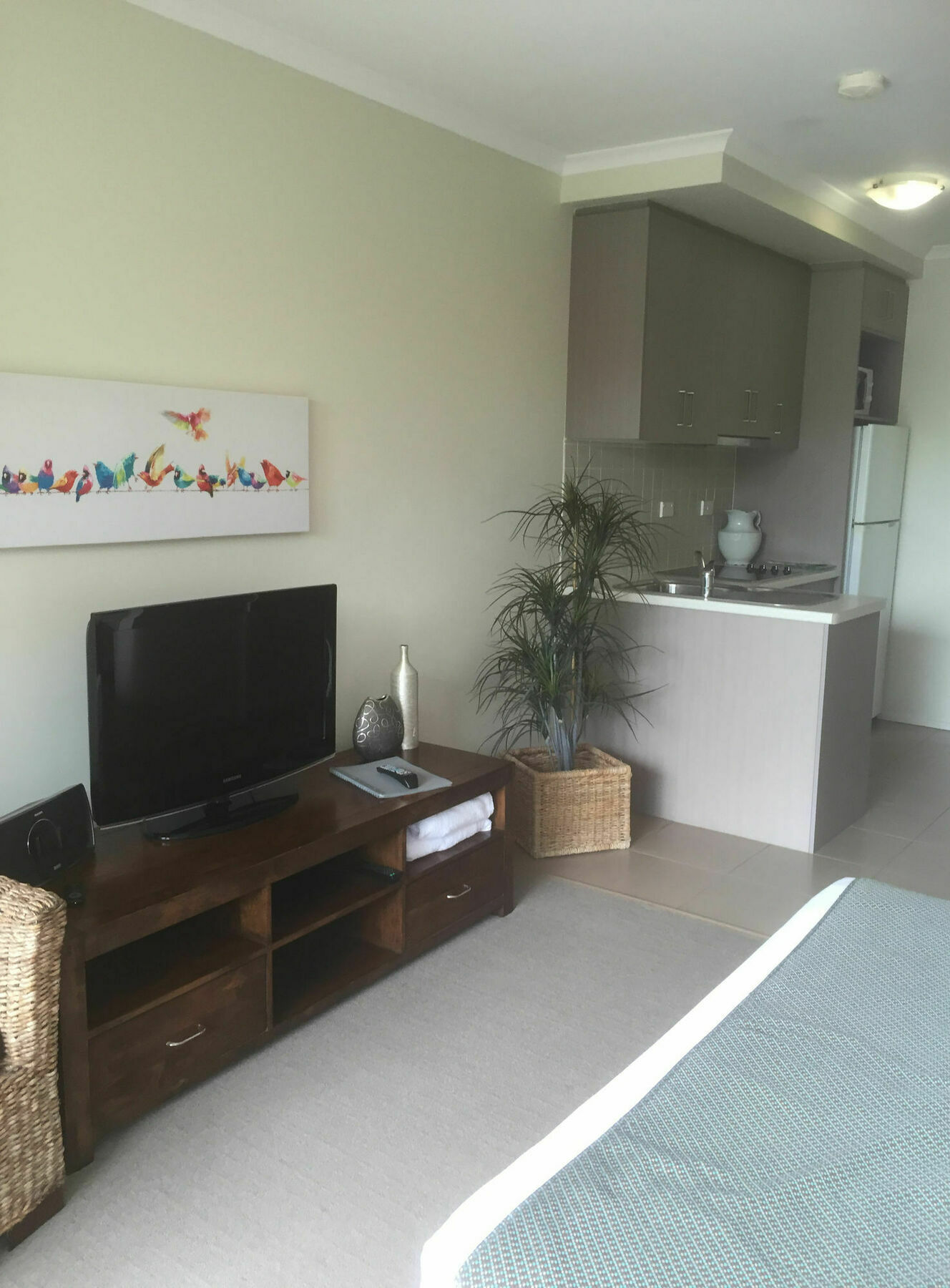 איירלי ביץ' Airlie Central Apartments מראה חיצוני תמונה